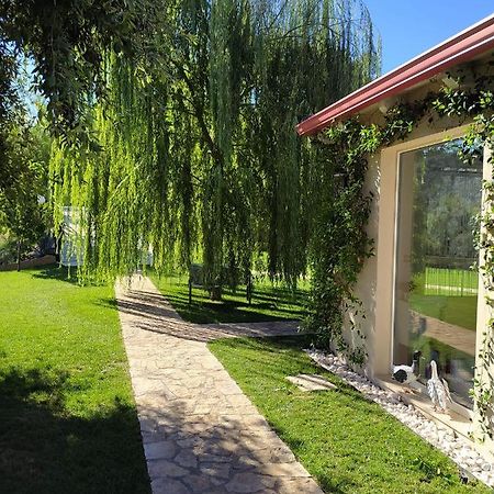 פסקיצ'י B&B Volver מראה חיצוני תמונה