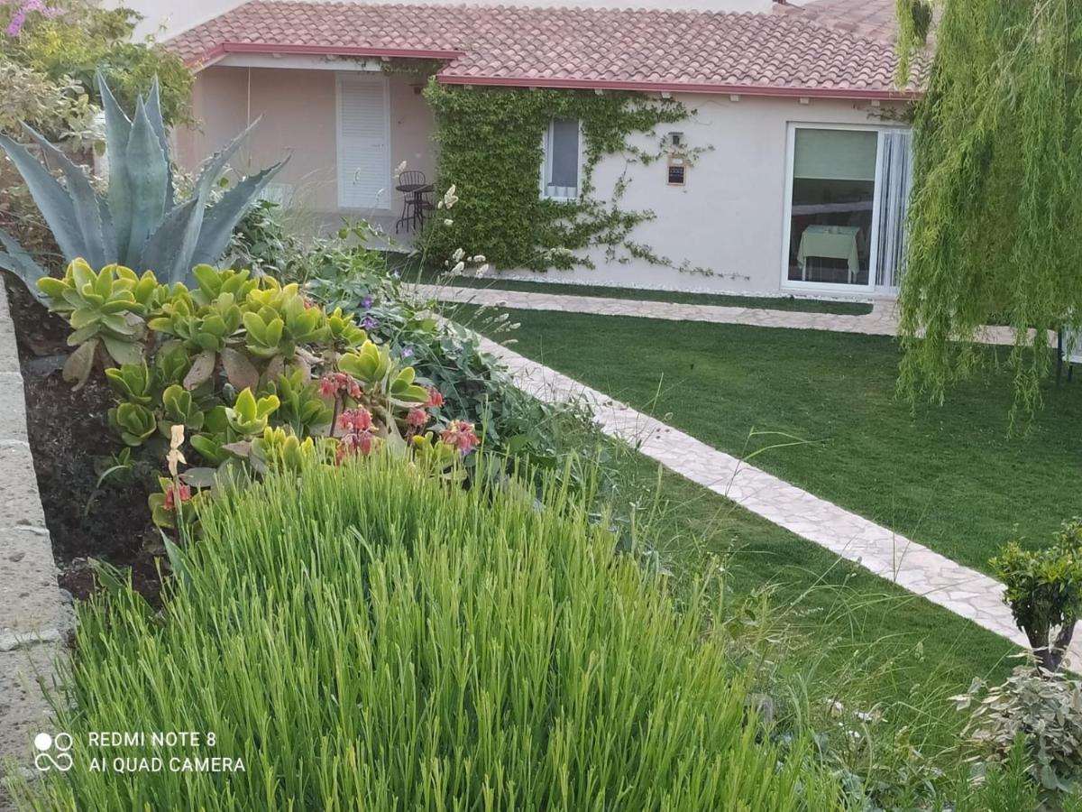 פסקיצ'י B&B Volver מראה חיצוני תמונה