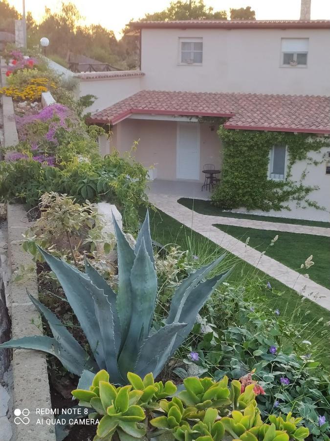 פסקיצ'י B&B Volver מראה חיצוני תמונה