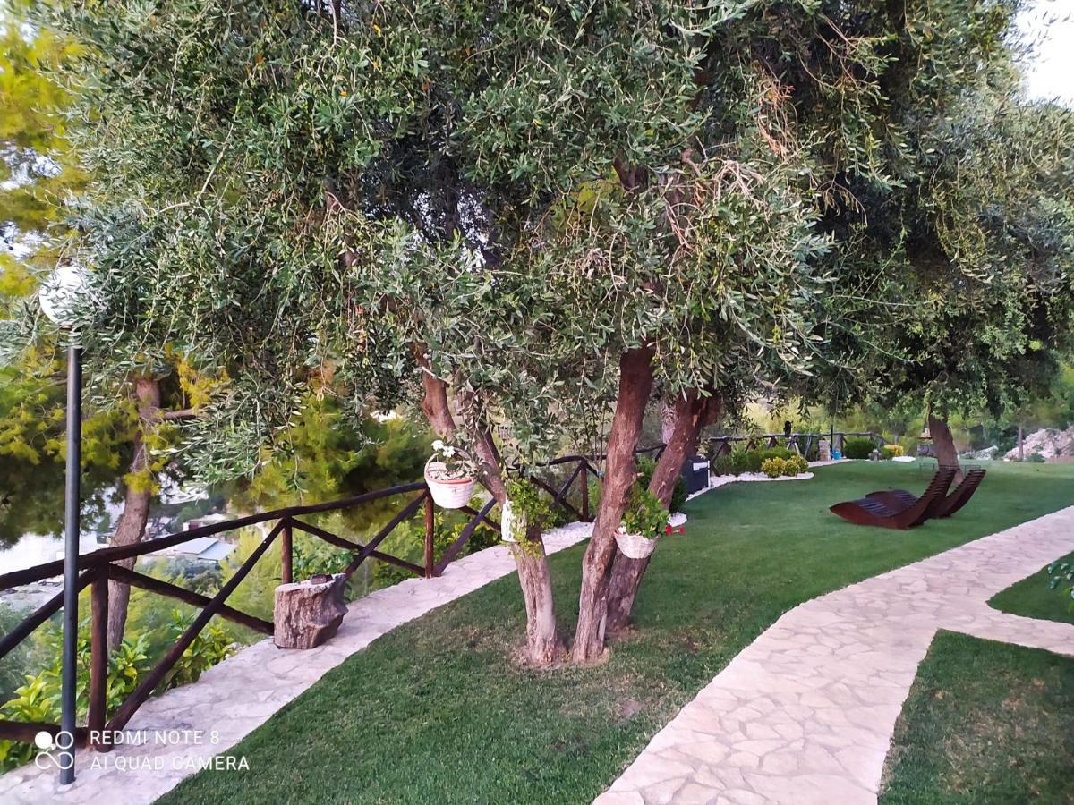 פסקיצ'י B&B Volver מראה חיצוני תמונה