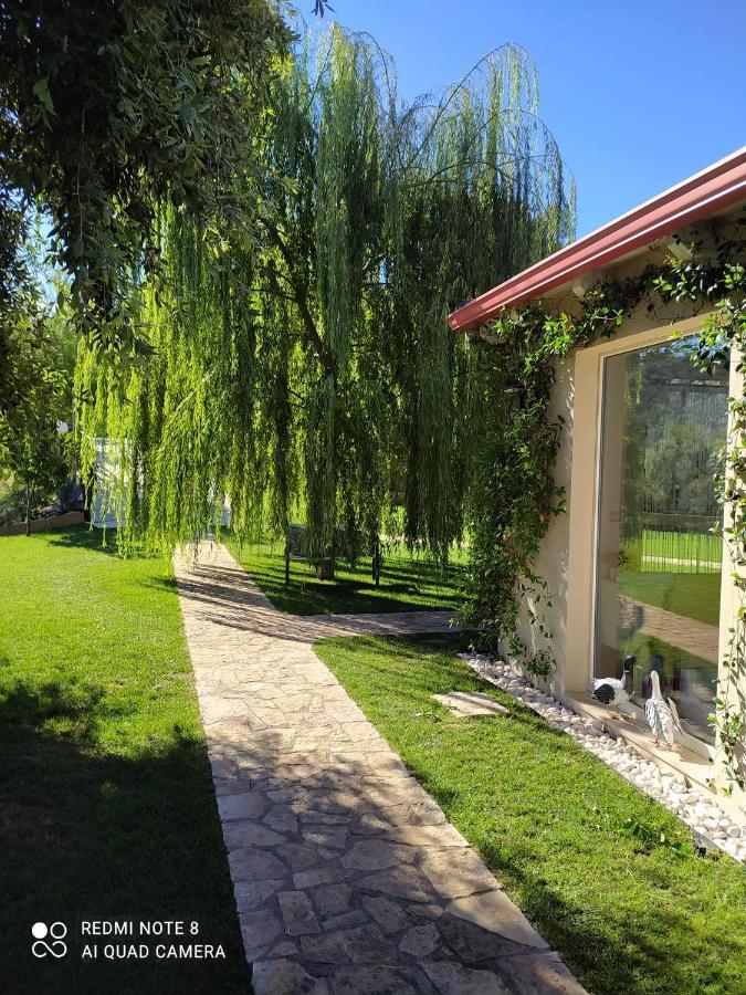פסקיצ'י B&B Volver מראה חיצוני תמונה
