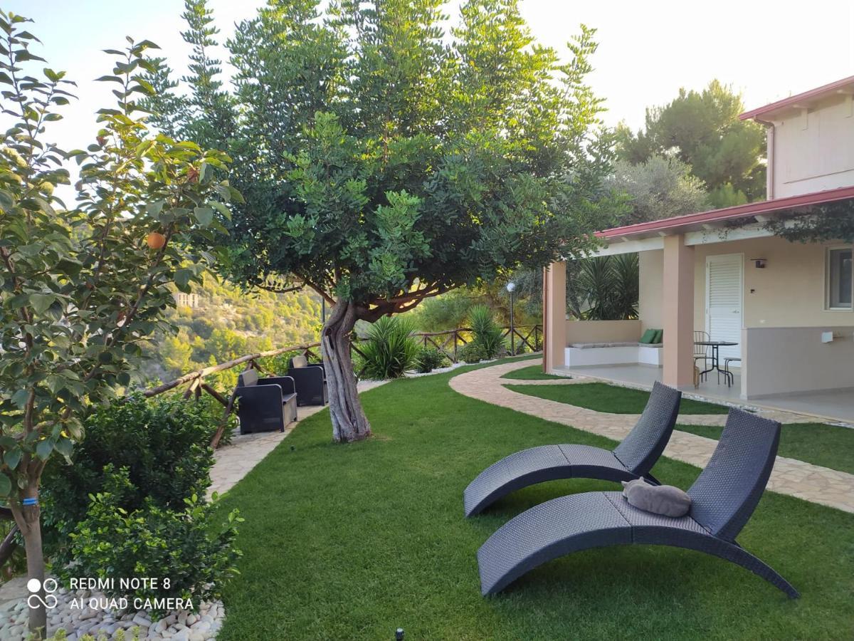 פסקיצ'י B&B Volver מראה חיצוני תמונה